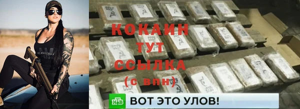 бошки Абаза