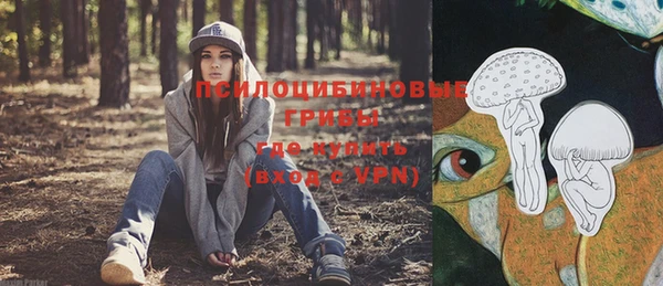 бошки Абаза