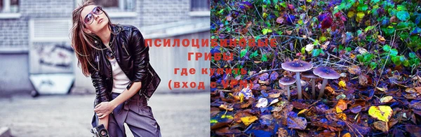 меф Осинники
