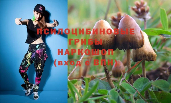 бошки Абаза
