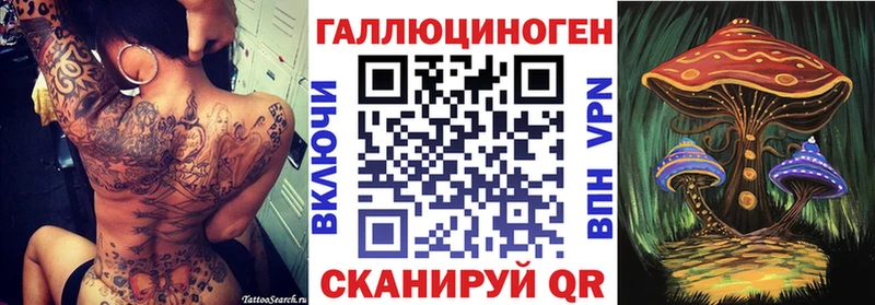 купить наркотики цена  Советская Гавань  Псилоцибиновые грибы Psilocybe 
